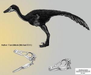 пазл Занабазар — один из крупнейших известных troodontids с черепом 272 мм